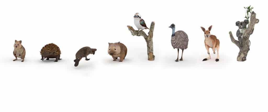 Google brings Aussie animals to life — Where Wild Things Roam