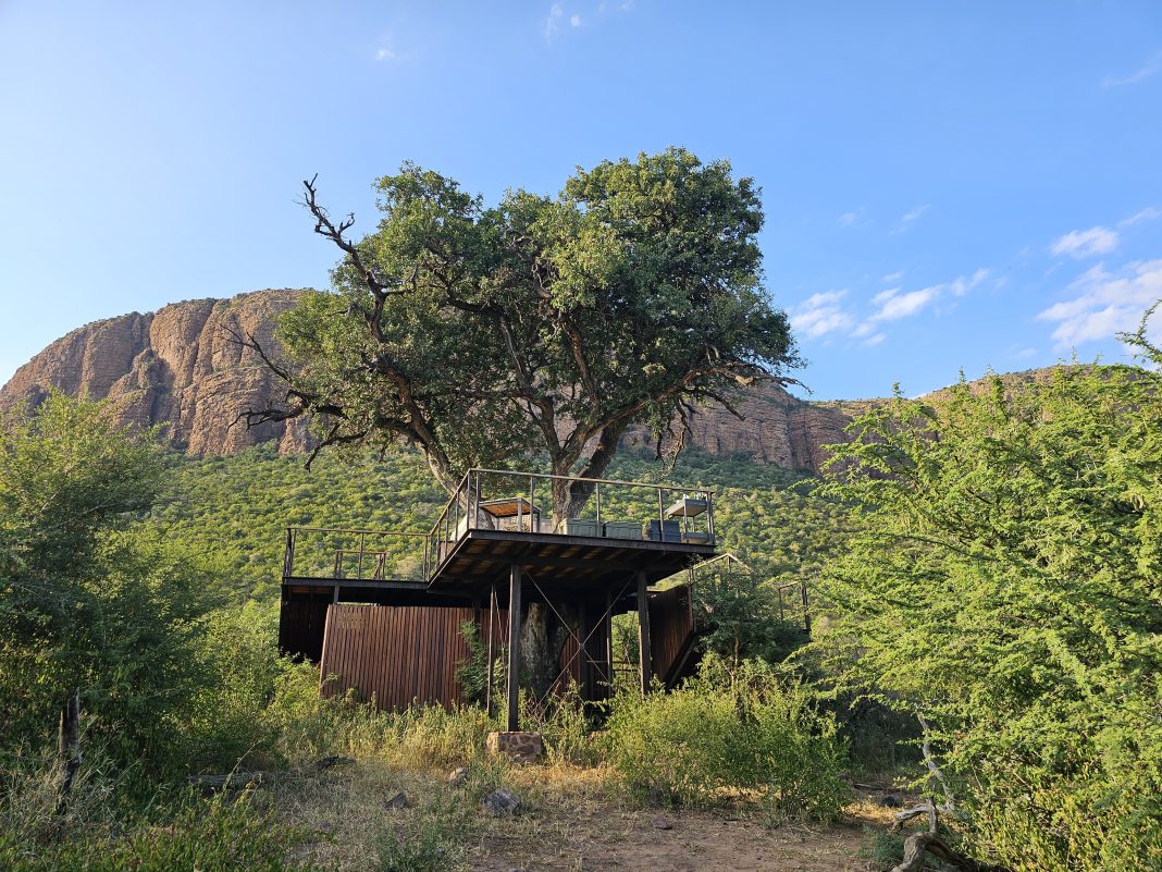 Africa’s most unforgettable treehouse sleep-outs — Where Wild Things Roam